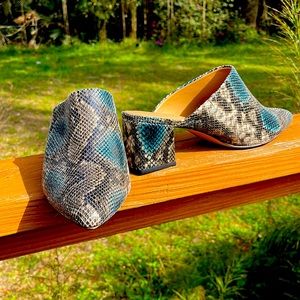 14th and Union snakeskin booties 11M. NWT